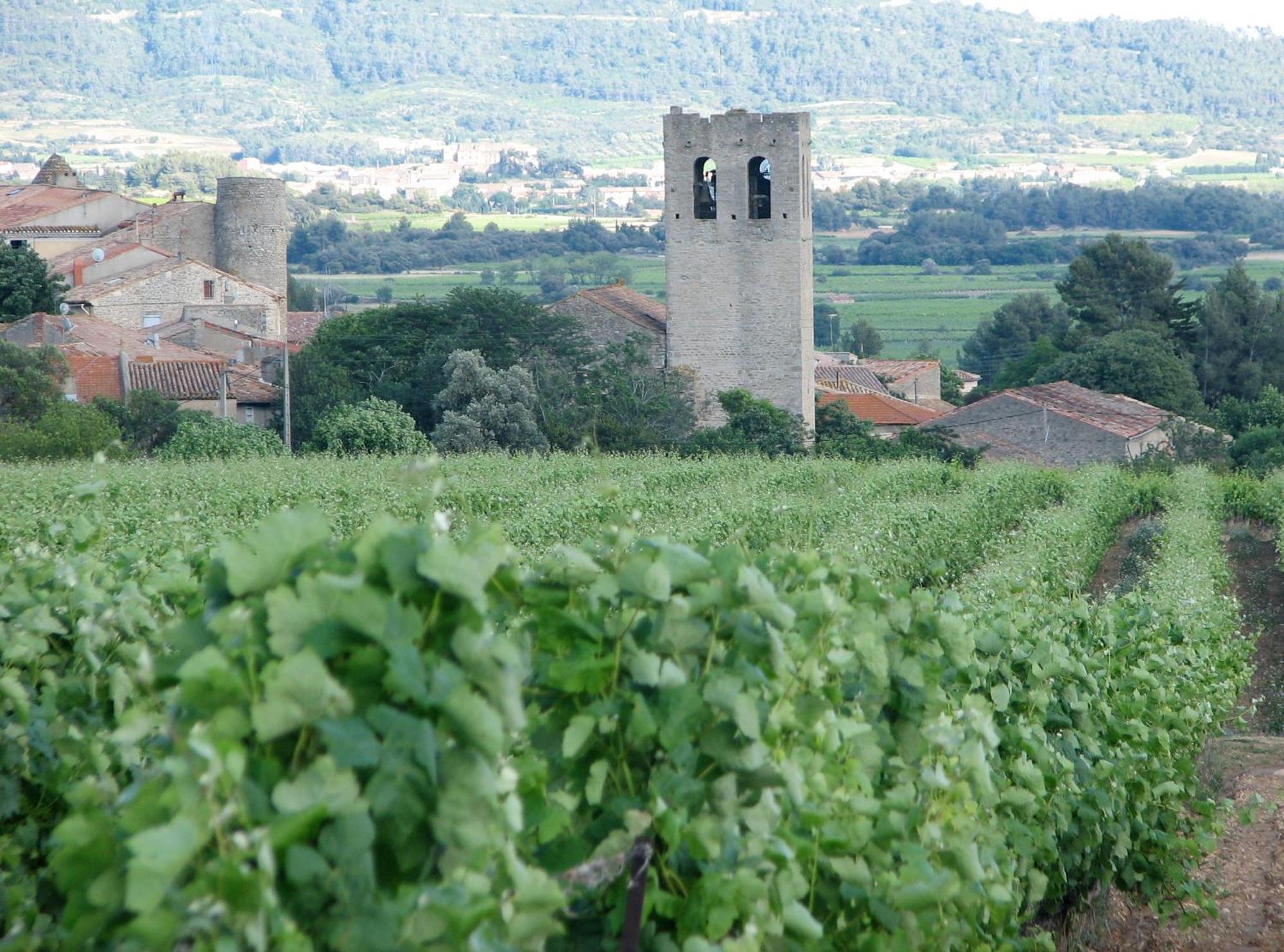 Maison Vigneronne De Bonne Maman - Climatisee Cesseras Bagian luar foto